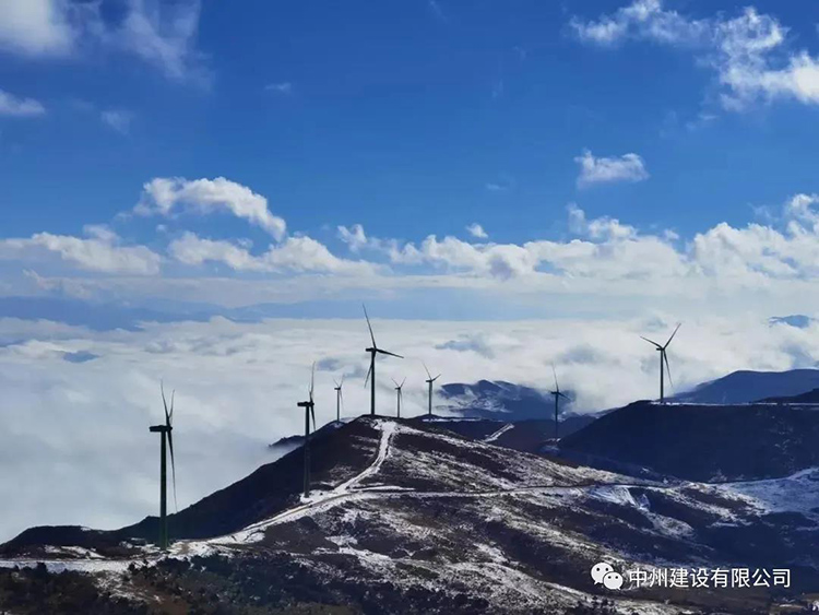 1608782428721686.jpg 3.jpg