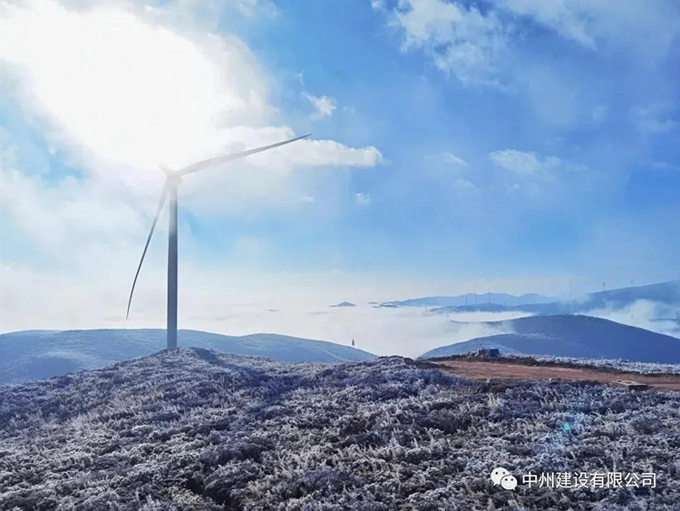 1608782440917480.jpg 4.jpg