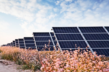 中國華能的“高性價比”光伏電站，妙招在這里！